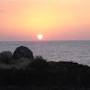 Meet your Posher, Janice